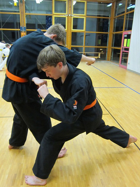 TSV Rohr Ju-Jutsu Bild 1